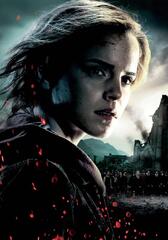 Harry potter & the deathly hallows; part 2 hermione