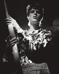 David Bowie (Rock & Roll Stars David Bowie Adult)