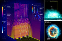 The origin of underdense plasma downflows associated with magnetic ...