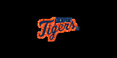 Detroit Tigers