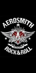 Aerosmith (Aerosmith Retro Rock Metal Tin Sign)