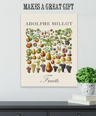 Adolphe Millot Illustration of Fruits