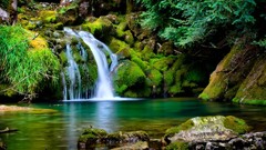 Tropical Forest Waterfall Green Landscape France Nature