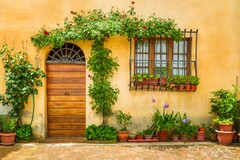 Laeacco Old Rural Farm House Potted Flowers Vine Porch Scenic Photography Background Photo