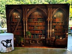 Amazon : Ft Library Backdrop, Bookcase Photo Background ...