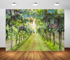 Grapevine (FUERMOR Vineyard Background ft Farm Grape Photography Backdrop Studio Photo Props LXFU259)