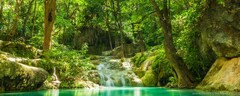 Summer Forest Lake Stream Waterfall Rocks Trees Greenery Tropical ...