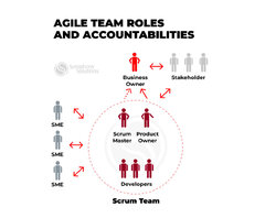 Agile Team Structure in Software Development: A Comprehensive ...