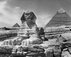 Egypt Great Sphinx Nthe Great Sphinx with The Dream Stele of King Thutmosis IV Between Its Paws and The Pyramids at Giza Photograph Mid-20th Century (Great Sphinx of Giza)