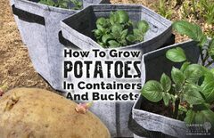 groupon 7/10 Gallon Potato Grow Bags Side Window Vegetable Grow Bags 7 US Gallon (How to grow potatoes in containers and buckets)