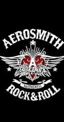 Aerosmith (Aerosmith Retro Rock Metal Tin Sign)