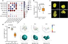 Perturb-tracing enables high-content screening of multiscale 3D ...