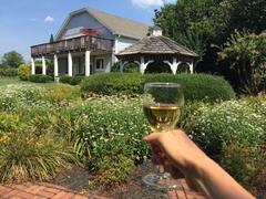 The Best Virginia Wine Bus Tours - Virginia Vacation Guide