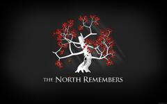 Game of Thrones (North Remembers )