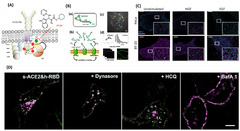 J. Imaging |-Text | Unravelling the Mystery inside Cells ...