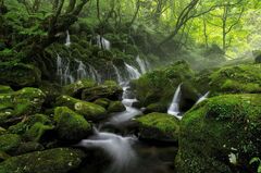 Waterfall in a forest ( Forest Trees Nature Fog River Stream Stones Waterfall Moss Japan Cascade)