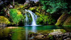 Tropical forest , Waterfall, Green, Landscape