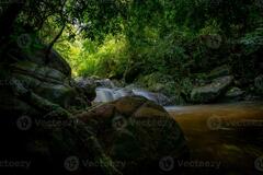 Waterfall is flowing in jungle. Waterfall in green forest ...